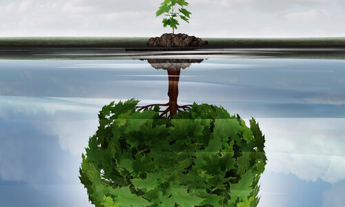 Deine Energie folgt deinen Gedanken.