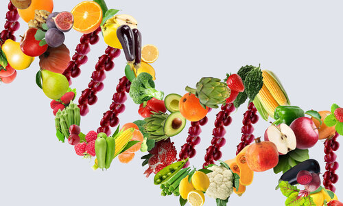 Gesundheit durch Prophylaxe