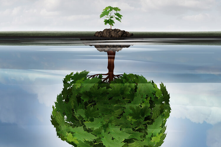 Deine Energie folgt deinen Gedanken.